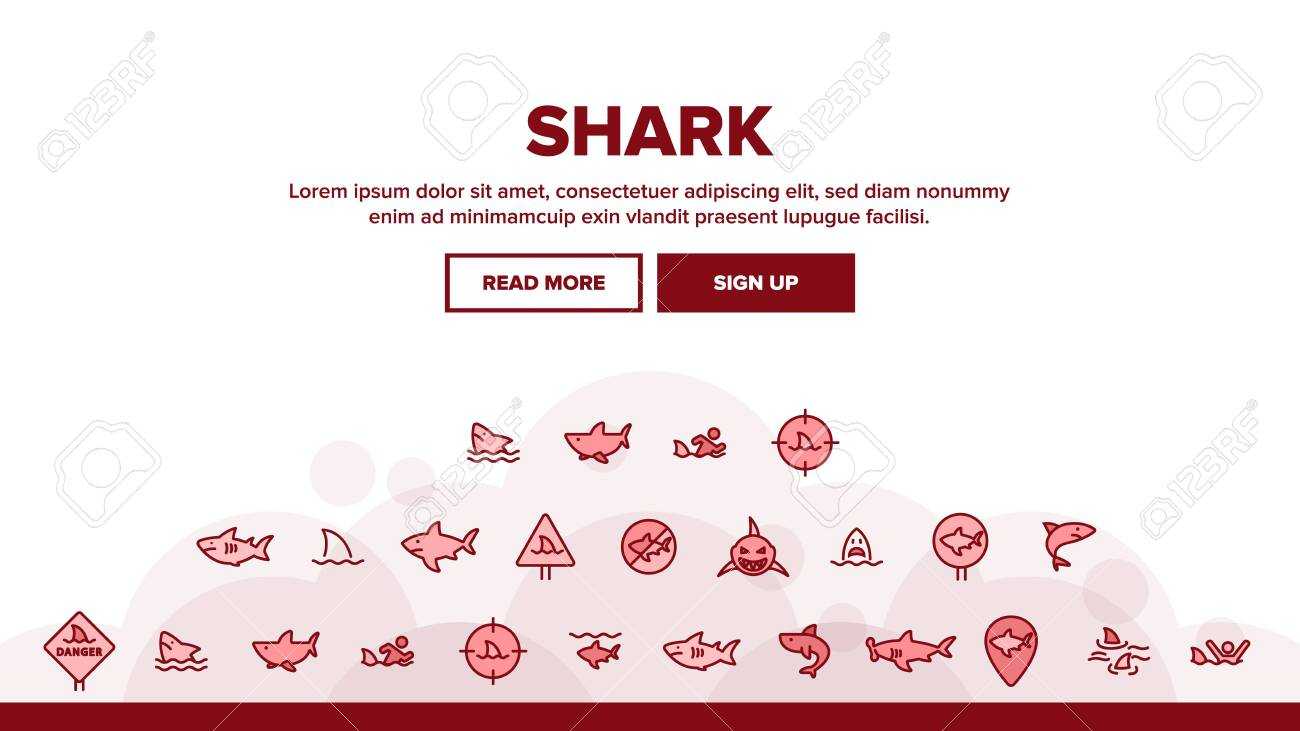 Shark Fish Landing Web Page Header Banner Template Vector. Dangerous.. For Sharkfin Banner Template