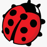 Some States Have The Ladybug As Its Offical Bug – Coloring Within Blank Ladybug Template