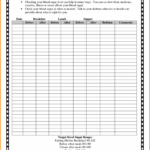 Spreadsheet Diabetes Tracking Blood Glucose Log Book Free Within Book Report Template In Spanish