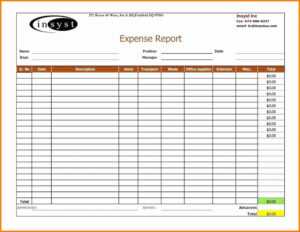 Spreadsheet Help Church Expense Free Report Templates To You with Expense Report Template Excel 2010