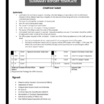 Summary Report Template For Project Analysis Report Template