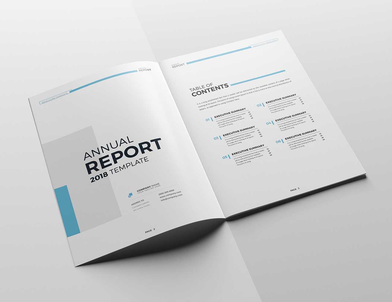 The Blue Annual Report For Summary Annual Report Template