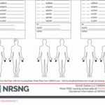 The Ultimate Nursing Brain Sheet Database (33 Nursing Report Throughout Charge Nurse Report Sheet Template