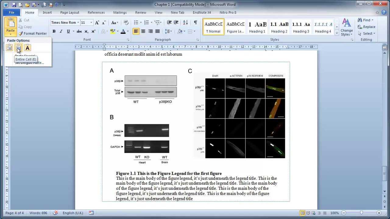 Thesis Writing In Microsoft Word : Inserting Figures And Legends In Ms Word Thesis Template
