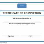 Training Certificate Template Pdf | Blank Certificates inside Training Certificate Template Word Format