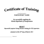Training Certificate Template Pdf | Blank Certificates Intended For Birth Certificate Template For Microsoft Word