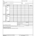 Volunteer Tracking Spreadsheet Travel Expense Vacation With Volunteer Report Template